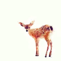 超逼真手绘小动物水彩画图片