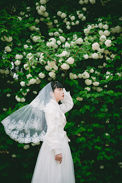 々<(彧坤)>々采集到紫婷砂