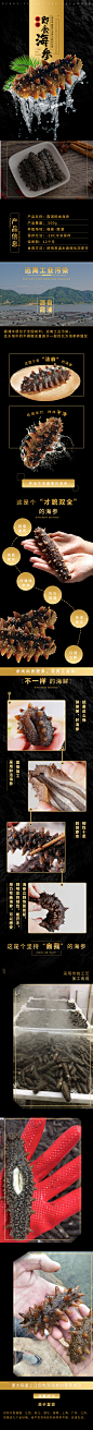 海参5.9