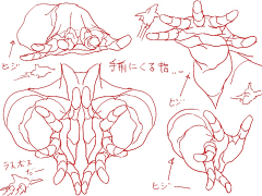 吾学子采集到参考——手（臂）