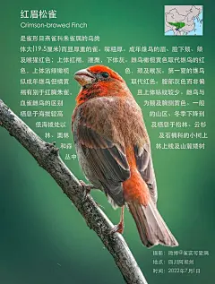 微博 – 随时随地发现新鲜事