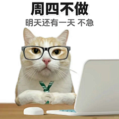 归尘不见她采集到表情包