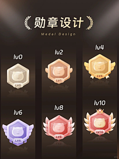 shinkoo采集到会员