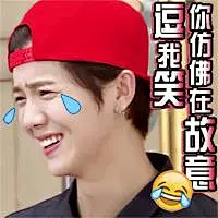 EXO表情包剧场有彩蛋~呢_爱豆帅图_EXO