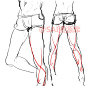 #SAI资源库#动漫男性腿部&人体绘制，画腿部时要记得肌肉线条看上去会更自然！自己借鉴，转需~