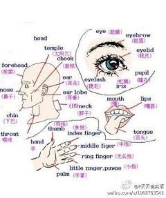 mystylecat采集到英语