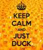 KEEP CALM AND JUST DUCK - by JMK