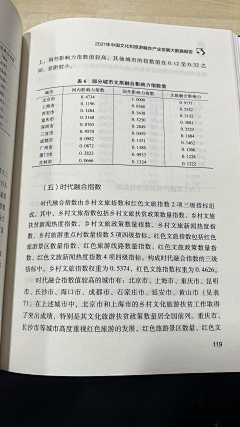 浅鲤水下灯采集到中国文化与旅游产业发展 大数据报告 (2022)