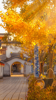 A桃Toci采集到风景