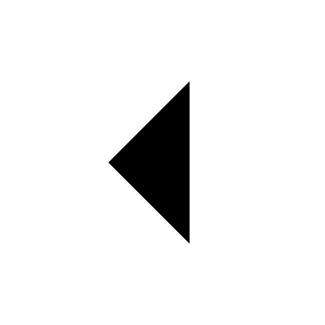 arrow-left-s-fill