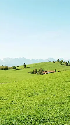 #草原#