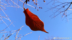 微微来者采集到创意