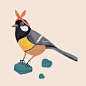 Hermano Gato on Behance