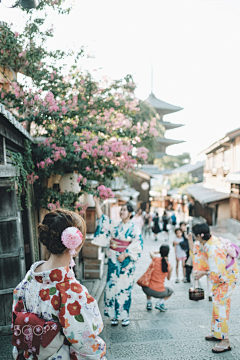 娅露采集到日本