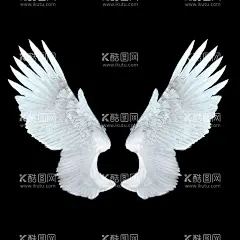 翅膀  - 源文件下载【酷图网】翅膀,白色翅膀,黑色翅膀,羽毛翅膀,金色翅膀,天使翅膀,恶魔翅膀,精灵翅膀,素材,装饰,元素,手绘,插画,参考,