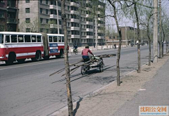 国境以南-太阳以西采集到怀旧80年代