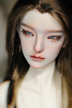 无角羔羊采集到BJD
