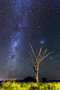  The rising of the Milky Way | Chaco, Paraguay (by Brandon Curtis Giesbrecht)