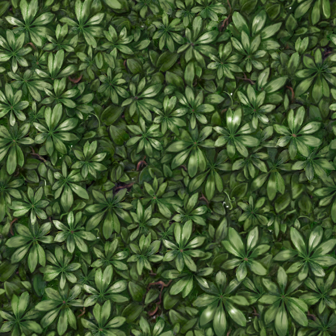 C1_Grass_Dark.(Textu...