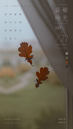 雨殇·采集到森林中