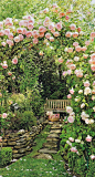 rose covered stone path... // Great Gardens & Ideas //