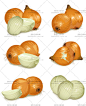水果蔬菜 梨子 橙 LOGO 标签 车厘子 番茄 火龙果矢量图设计素材-淘宝网