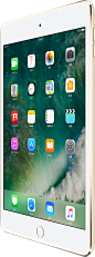 iPad mini 4 : iPad mini 4 有银色、金色和深空灰色三种外观，以及多种存储容量可供选择。查看 iPad mini 4 和价格