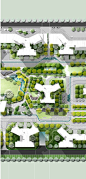 2023小清新大区景观彩平图ps素材现代居住区折线景观彩平psd素材