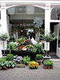 About Flowers 是荷兰著名的花店连锁品牌。