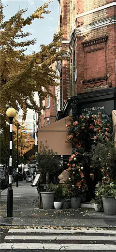  丨手机壁纸__1_橘子_来自小红书网页版