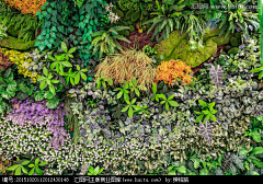 饶阿志=植物墙1花艺软装1花艺培训采集到植物墙装饰