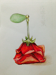 这是采集到Sylvia design