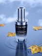 Lancome Q4_1