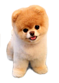 小狗1png (9)