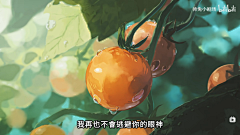 無眠冲剂采集到防风铃