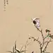 任重工笔花鸟欣赏