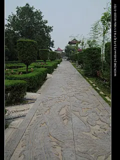 八里河风景区 - 阜阳市风景图片特写第2辑 (14) - @™旅遊點滴╮