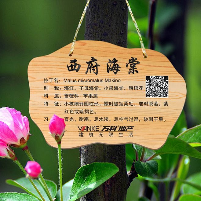 植物标识牌