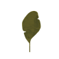 TANI tree (9)