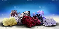 珊瑚礁。不同颜色的息肉。手绘水彩插图上的白色背景