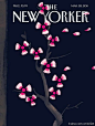 凋谢的樱花，盛开的核辐射，来自《纽约客》最新一期的封面设计。（感谢 @日本娱乐最前线 投稿）