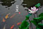 青简的相册-二十四节气