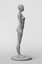 3dtotal Anatomy: female planar figure