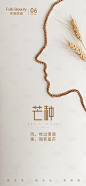 医美芒种海报-源文件