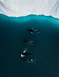 The Iceberg Series II : A visual study of shapes, patterns and luminosity on Icebergs in the Ilulissat Icefjord, Unesco World Heritage. Located on the west coast of Greenland, 250 km north of the Arctic Circle, Greenland’s Ilulissat Icefjord is the sea mo