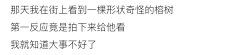 不务正业瞎白话采集到哦？是吗？ —— 是的！