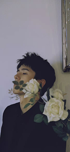 迷人的姑娘采集到明星集