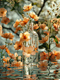 gegejiadesign_a_glass_bottle_over_some_orange_flowers_floating__ef2b684a-a8d3-4ec2-8c54-712aebff6cc1.png (928×1232)