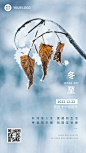 冬至节气祝福实景排版手机海报