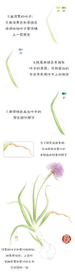 顾桃夭采集到植物
